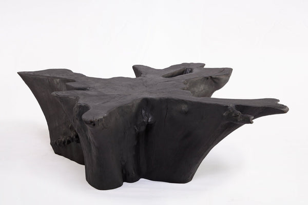 Z - Black Burnt Organic Teak Root Coffee Table 84 - Dyag East