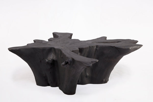 Z - Black Burnt Organic Teak Root Coffee Table 84 - Dyag East