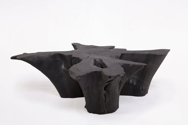 Z - Black Burnt Organic Teak Root Coffee Table 84 - Dyag East