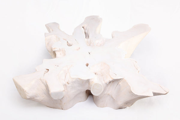 Z - Organic Teak Root Coffee Table 74 - White Wash - Dyag East