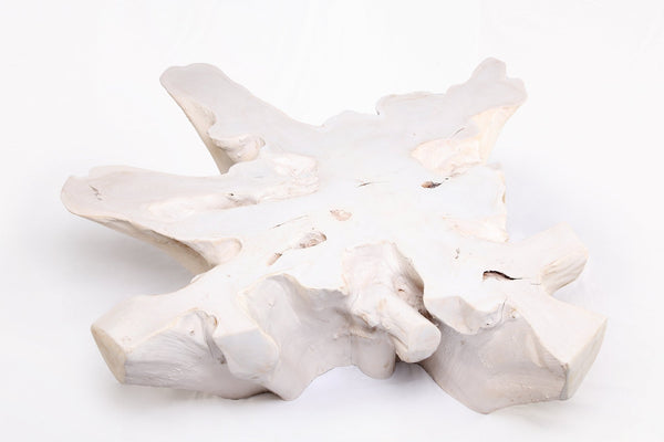 Z - Organic Teak Root Coffee Table 74 - White Wash - Dyag East