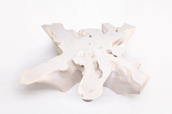 Z - Organic Teak Root Coffee Table 74 - White Wash - Dyag East
