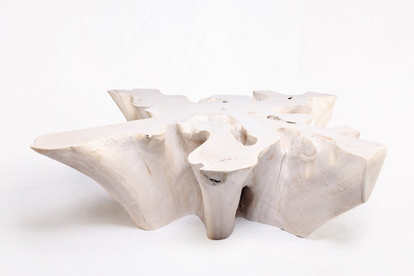 Z - Organic Teak Root Coffee Table 74 - White Wash - Dyag East
